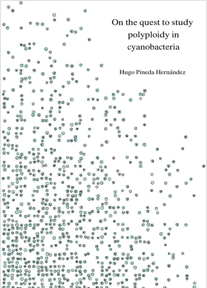 thesis cover Hugo Pineda