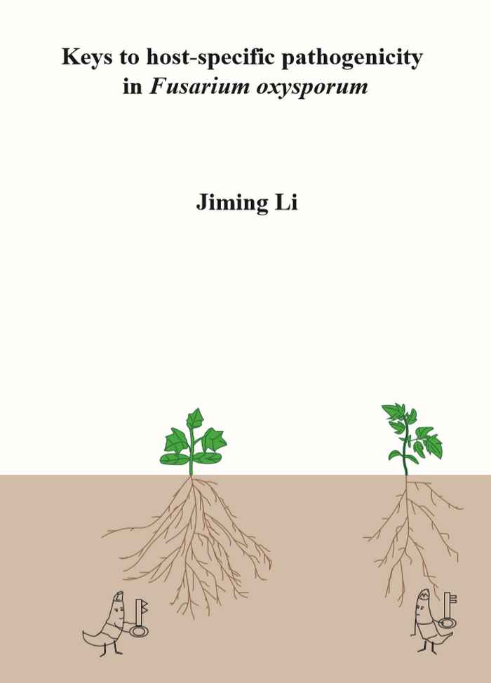 Thesis cover Jiming Li