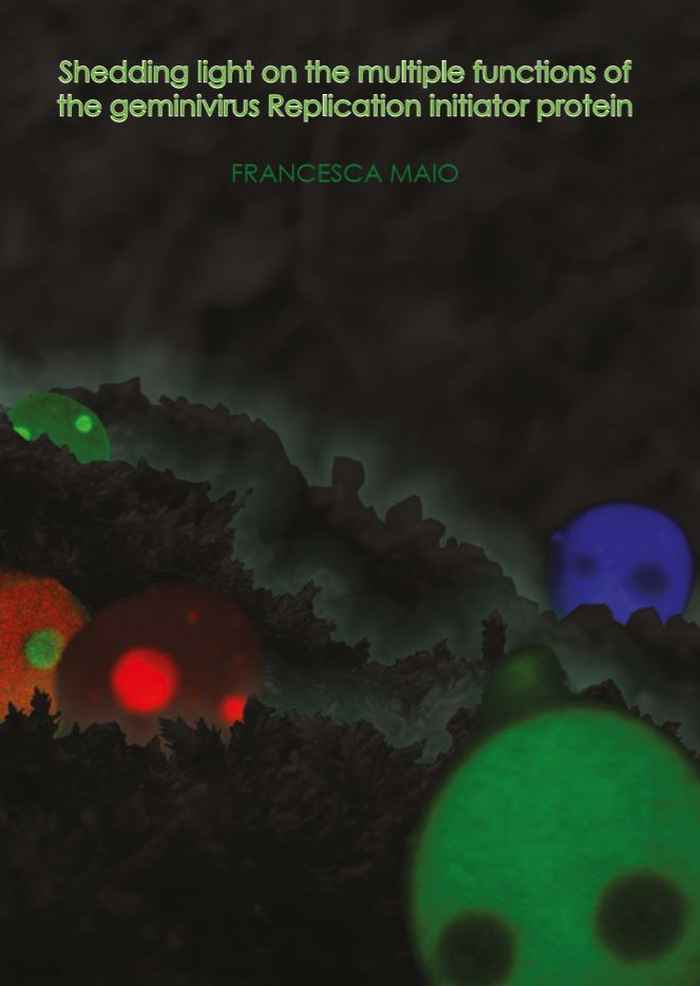 Thesis cover Francesca Maio