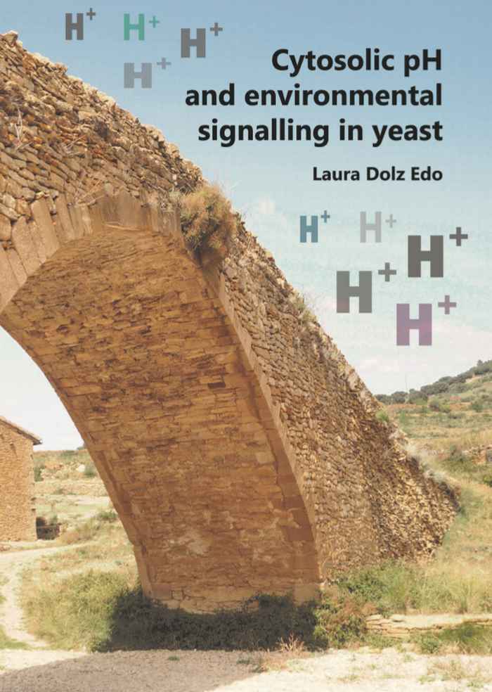 Thesis cover Laura Dolz Edo