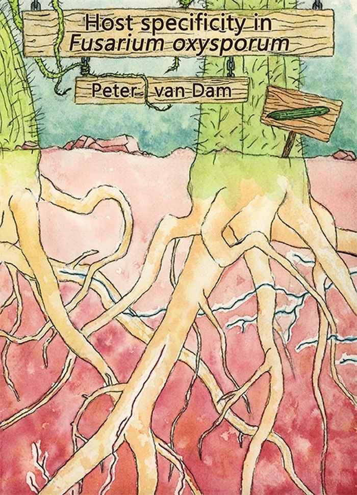 Thesis van Dam