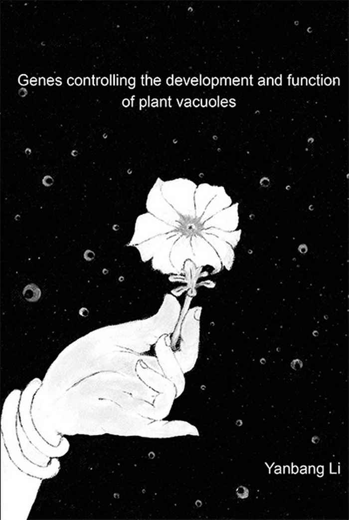 Thesis cover Yanbang Li