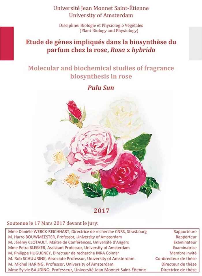 Thesis cover Pulu Sun