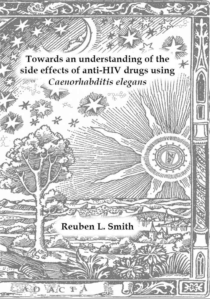 Thesis cover Smith