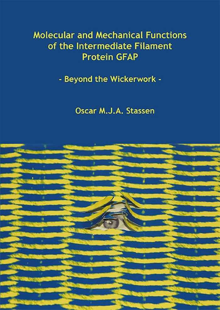 thesis cover Oscar Stassen