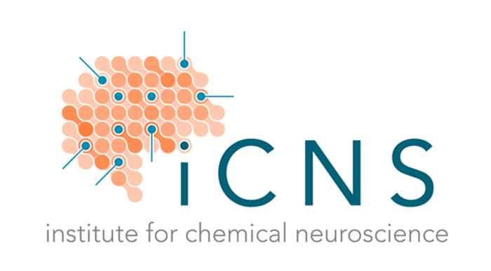 iCNS logo