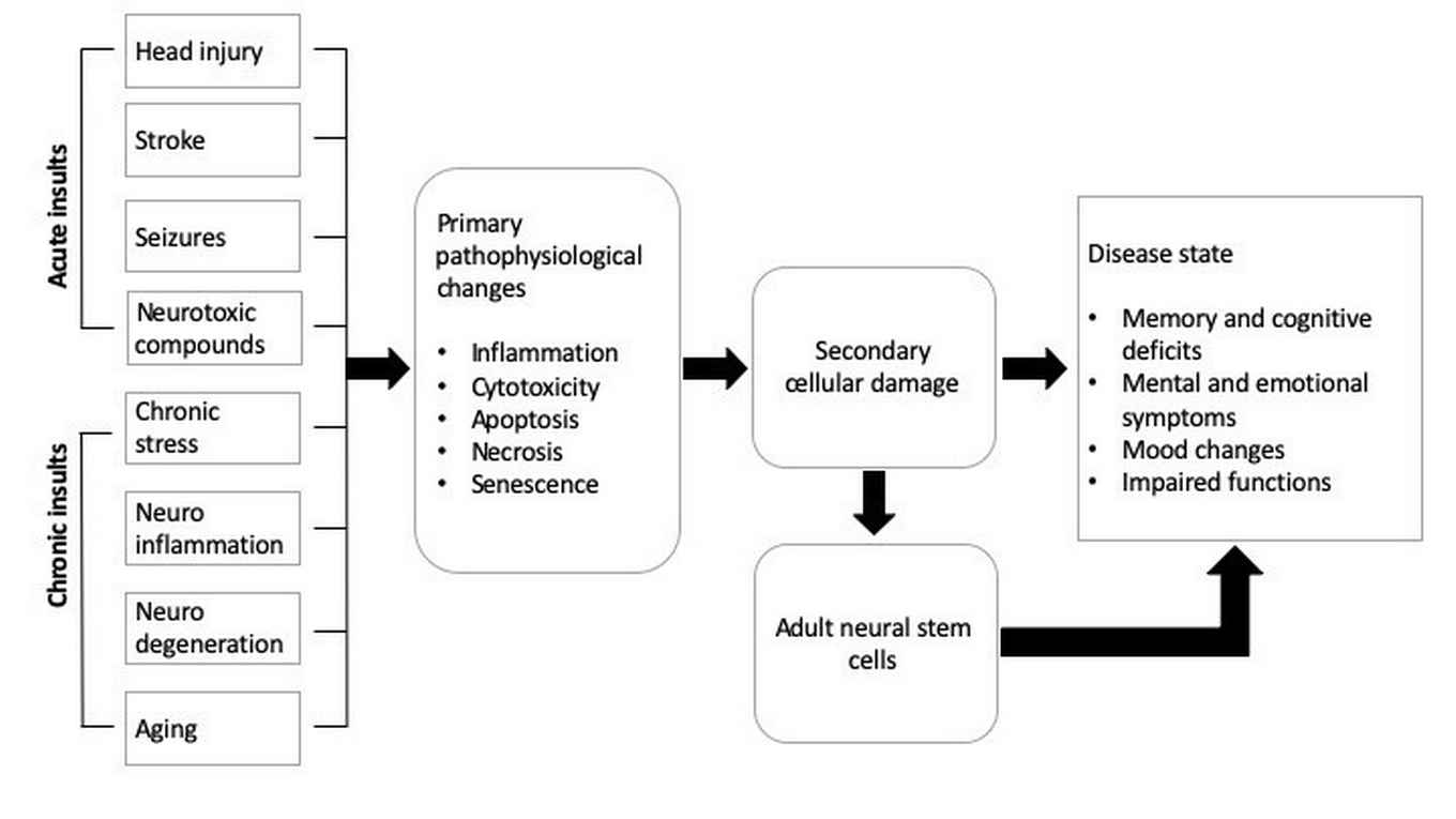 Flow-chart for research line Carlos Fitzsimons